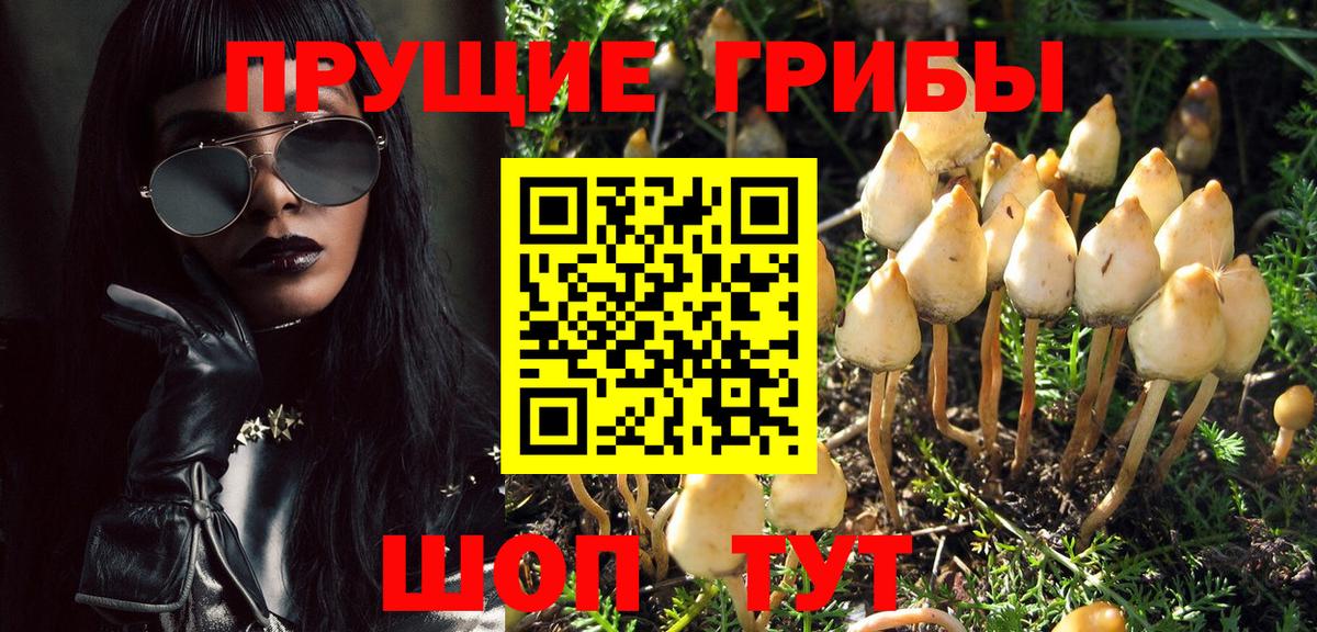 Псилоцибиновые грибы GOLDEN TEACHER Магадан